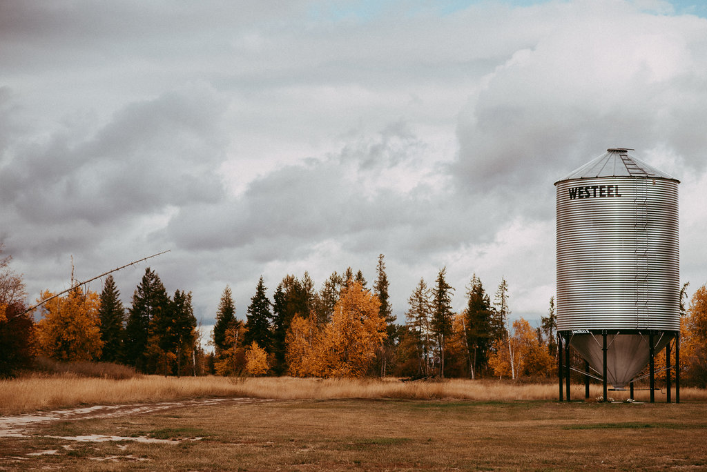 DiamondBRanchWedding-1775