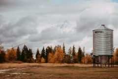 DiamondBRanchWedding-1775